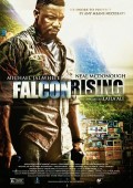 Falcon Rising