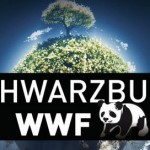 Czego nie wiemy o WWF