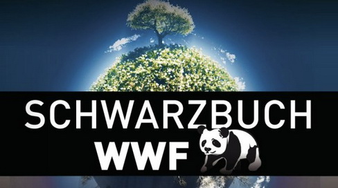 Czego nie wiemy o WWF