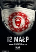 12 małp