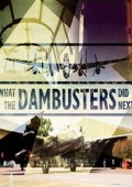 Dam Busters. Niezwykłe losy pilotów