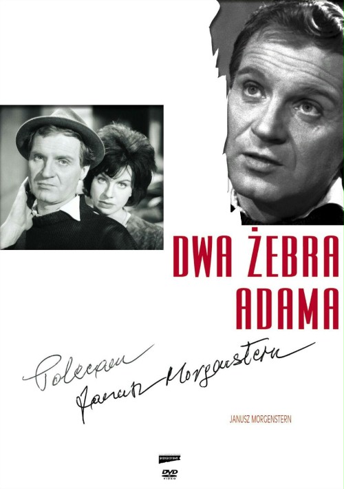 Dwa żebra Adama