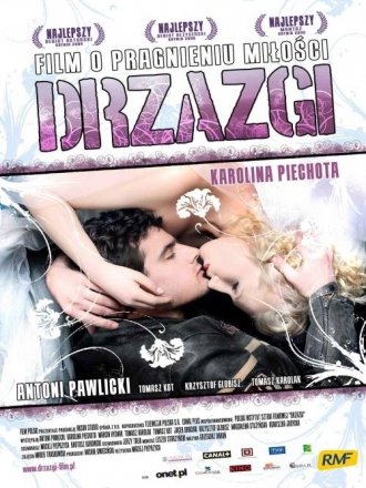 Drzazgi