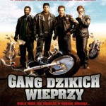 Gang dzikich wieprzy