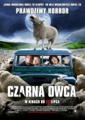 Czarna owca