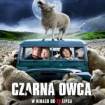 Czarna owca