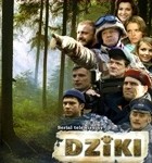 Dziki